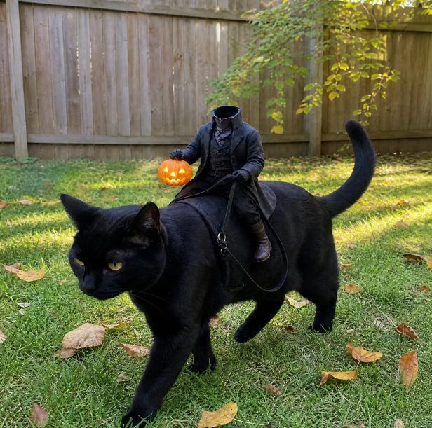 Headless Horseman Cat Costume Injection Molding Natural