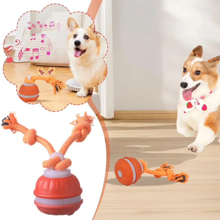 PolliPlay™ Smart Pet Ball – Motion-Activated Rolling Dog Toy with Bird Sound