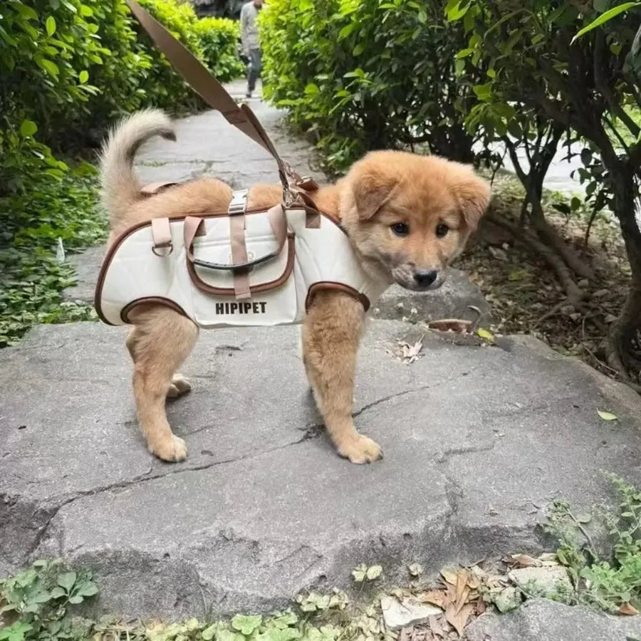 Portable Dog Carrier Backpack – Hands-Free Crossbody Pet Travel Bag