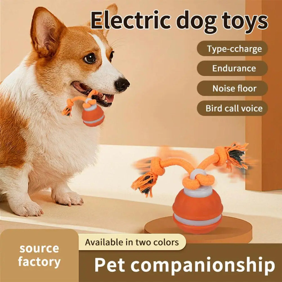 PolliPlay™ Smart Pet Ball – Motion-Activated Rolling Dog Toy with Bird Sound
