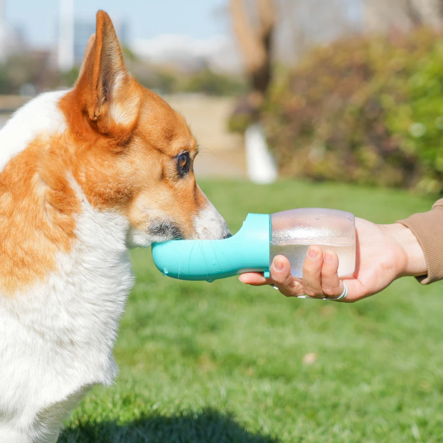 Portable Pet Water Bottle 300ML – Leakproof Travel Bowl for Dogs