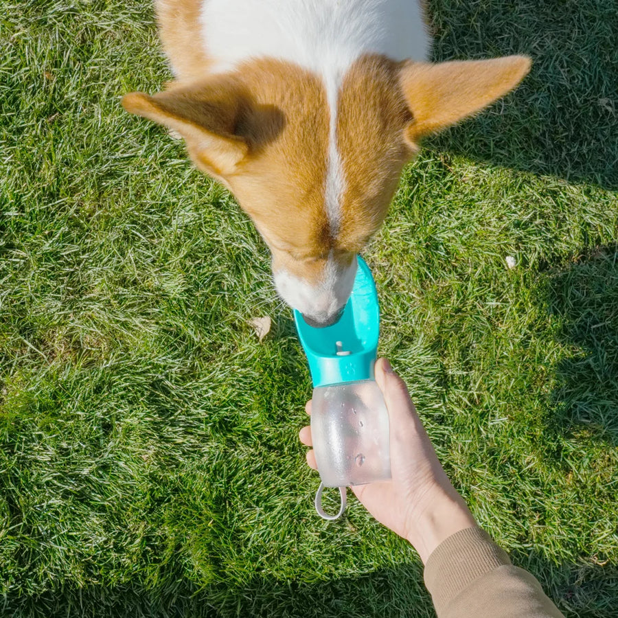 Portable Pet Water Bottle 300ML – Leakproof Travel Bowl for Dogs