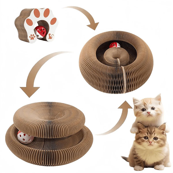 A cardboard cat play mat set shown on a white background with arrows indicating steps and two kittens at the bottom right. The set includes a round corrugated cardboard play mat with a small red-and-white ball, a paw-shaped hide, and a second ball.