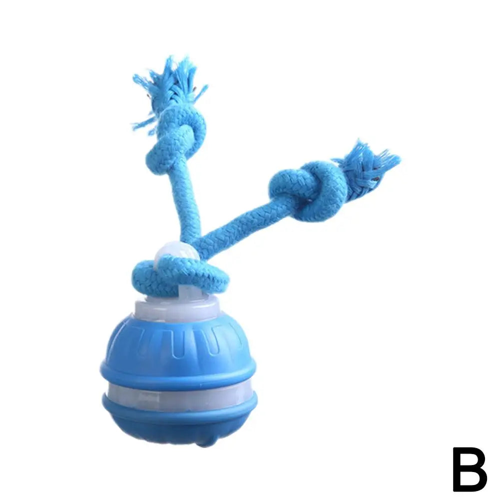 Blue USB rechargeable motion-sensor pet ball toy with rope tail attachment