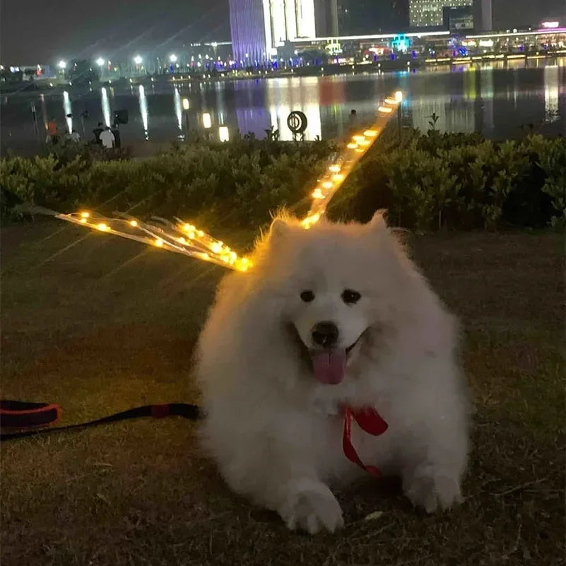 Light-Up Fairy Wings Costume for Dogs - Glowing LED Pet Halloween Accessory