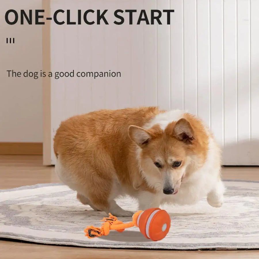 PolliPlay™ Smart Pet Ball – Motion-Activated Rolling Dog Toy with Bird Sound