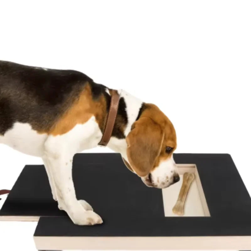 PawTrim™ Wooden Scratch Board – Nail Care Trainer with Built-In Treat Box
