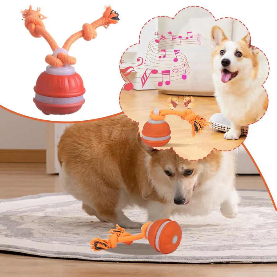 PolliPlay™ Smart Pet Ball – Motion-Activated Rolling Dog Toy with Bird Sound