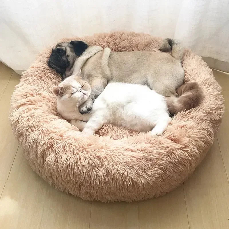 Super Soft Plush Donut Cat Bed – Warm, Washable Calming Pet Bed