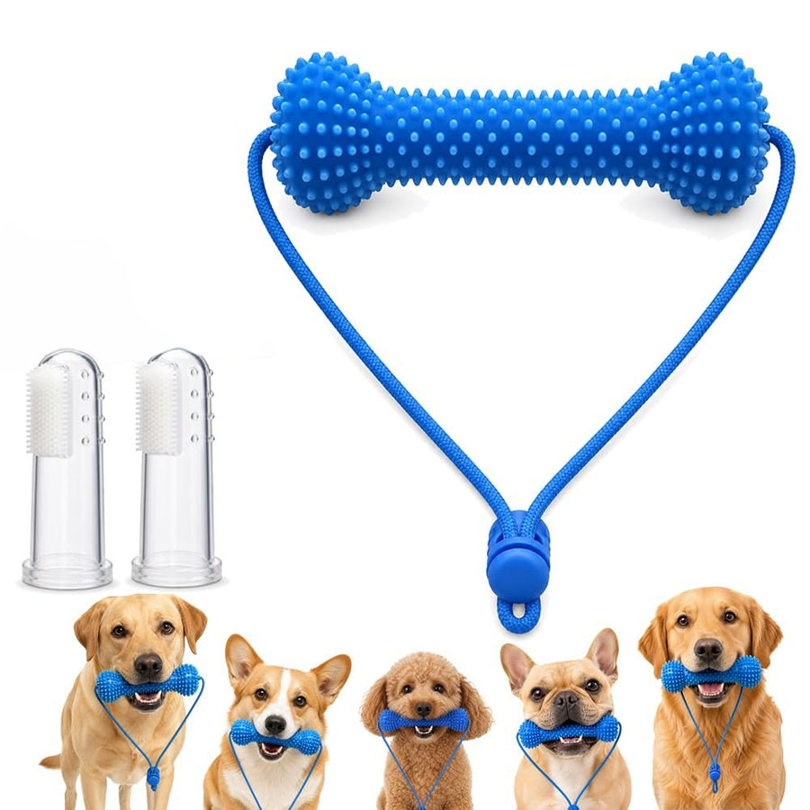 Dual-Action Dog Dental Chew Toy with Finger Toothbrush Set - Bite and Brush Oral Care Kit