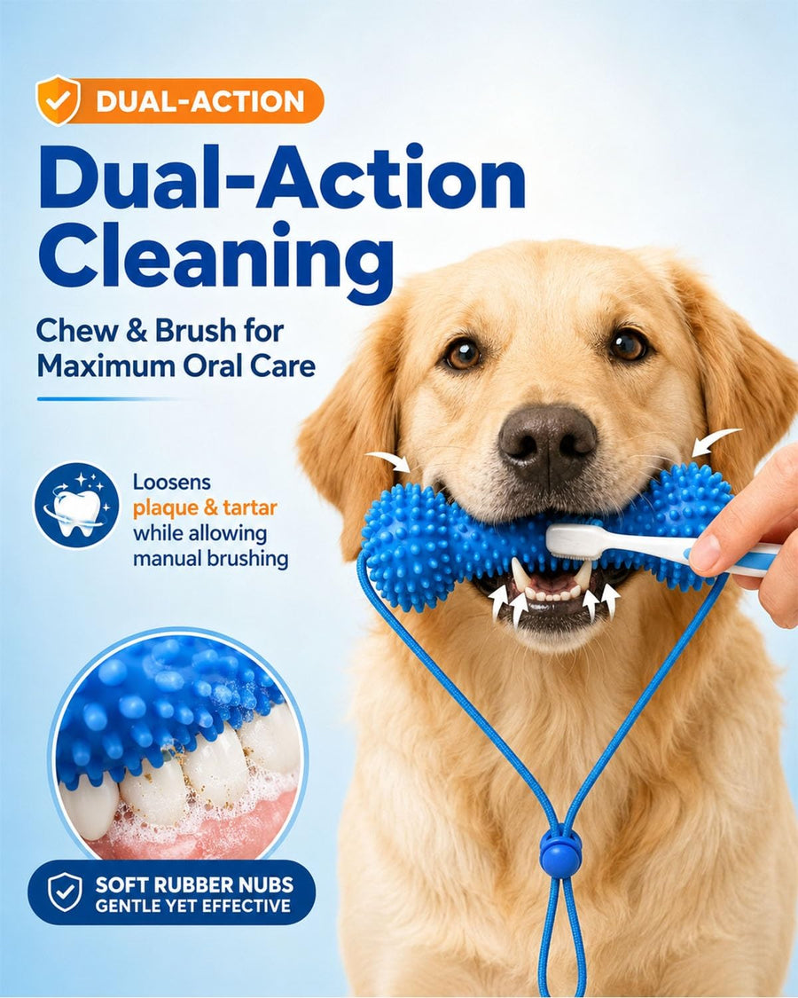Dual-Action Dog Dental Chew Toy with Finger Toothbrush Set - Bite and Brush Oral Care Kit