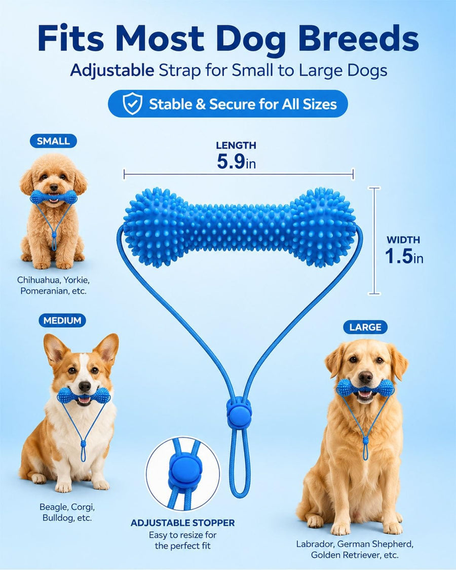Dual-Action Dog Dental Chew Toy with Finger Toothbrush Set - Bite and Brush Oral Care Kit