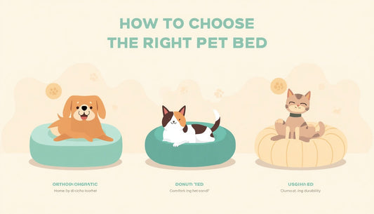 Dog and cat relaxing on comfortable pet beds, illustrating how to choose the right pet bed for comfort, support, and better sleep."
