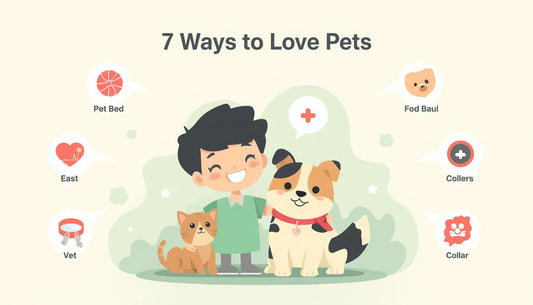 Heartwarming illustration of a pet owner  showing love to their dog and cat with  7 ways including playtime, cozy bed,  healthy feeding and quality time together  - Pet Castle USA