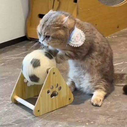 Cat playing with a toy on a marble floor