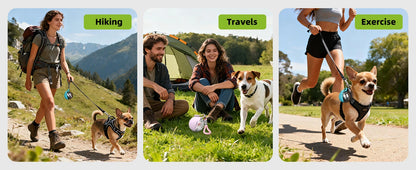 Three scenes showing a woman hiking, a couple with a dog by a tent, and a person exercising with a dog on a leash.