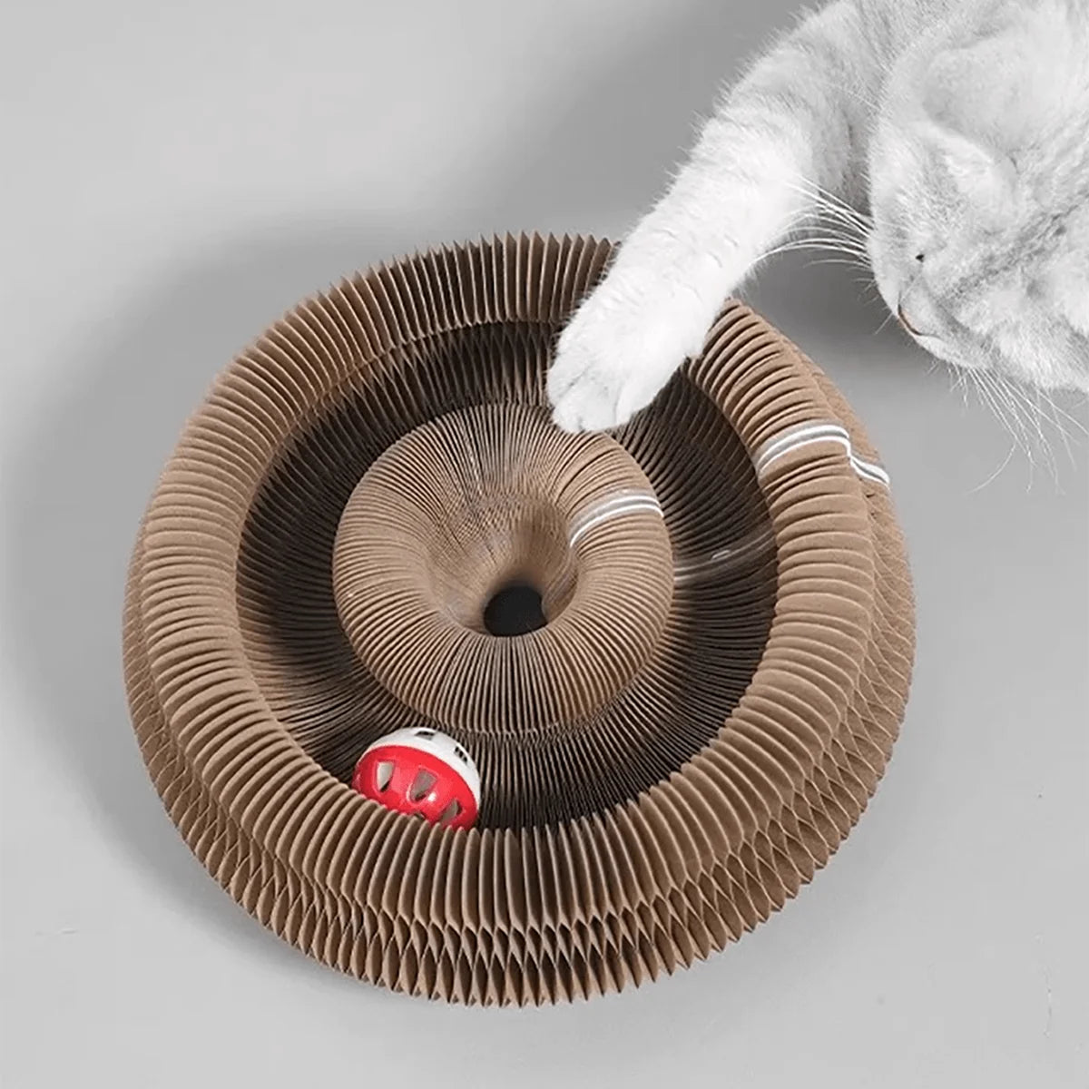 Cat playing with a cardboard tube toy on a gray background