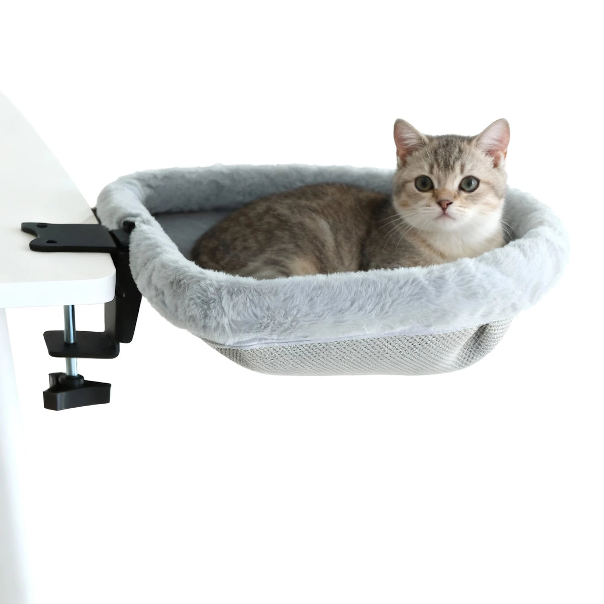 Cat sitting in a gray pet hammock attached to a white surface