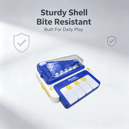 A blue and white dental storage case with a clear lid, shown open with tooth trays inside. The case has yellow accents and the words 'Piano + White' printed on the front.