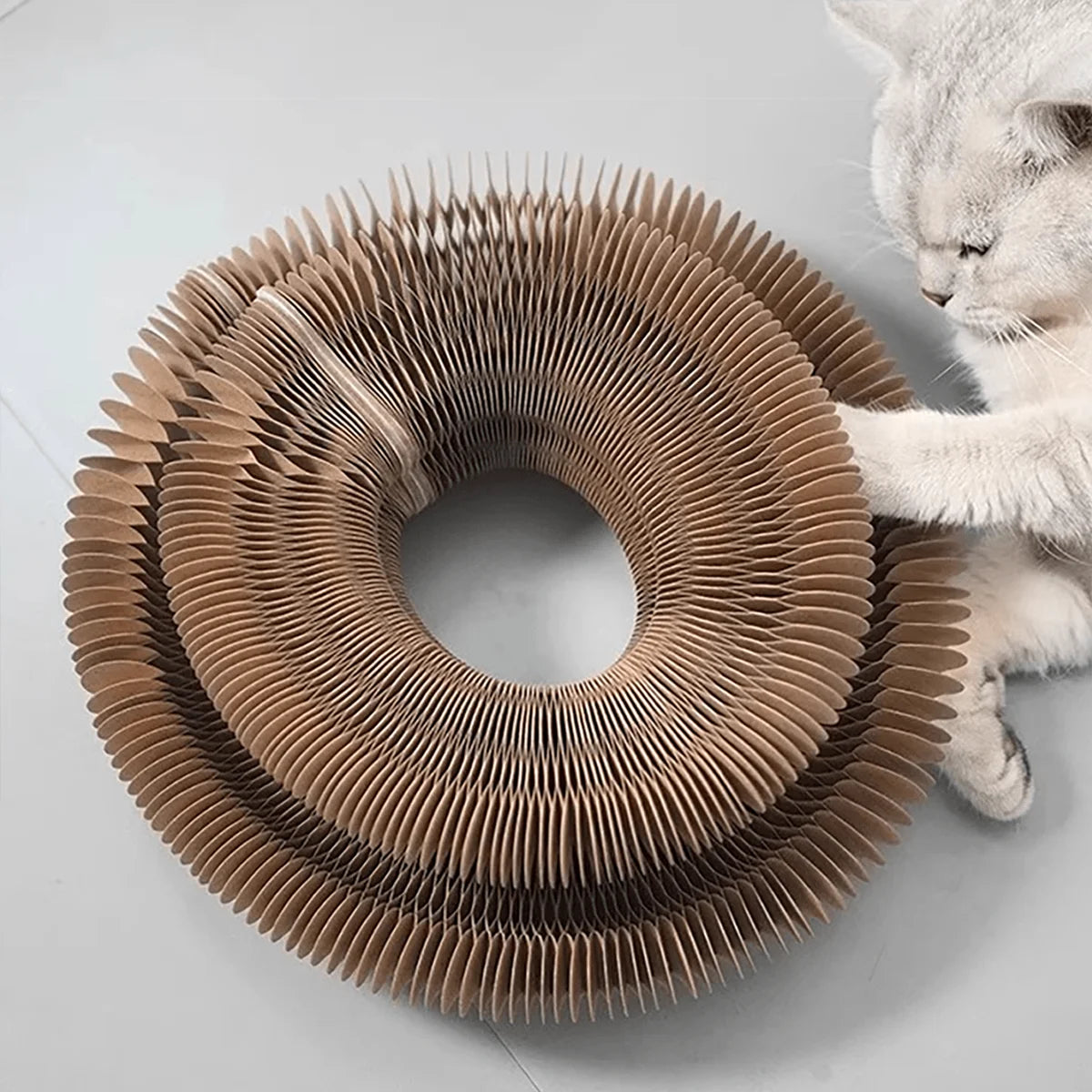 Cardboard cat toy with a cat interacting with it on a light gray background