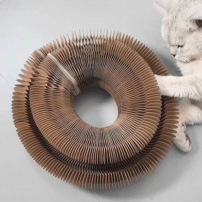 Cardboard cat toy with a cat interacting with it on a light gray background