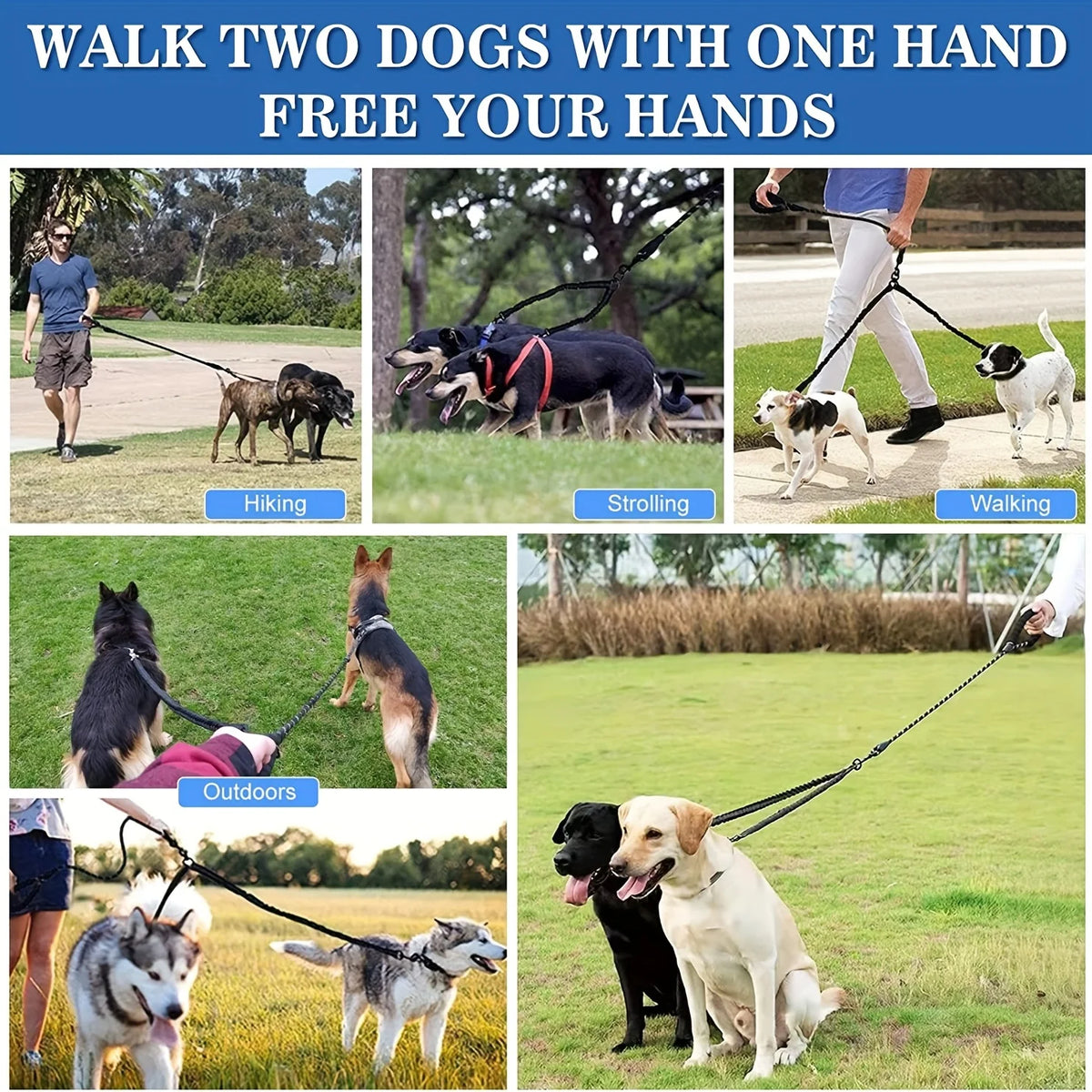 Collage of people walking two dogs with a single leash in various settings.