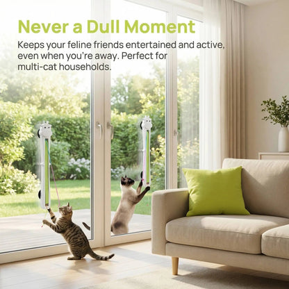 Two cats playing with a pet door in a living room with a couch and green pillow.