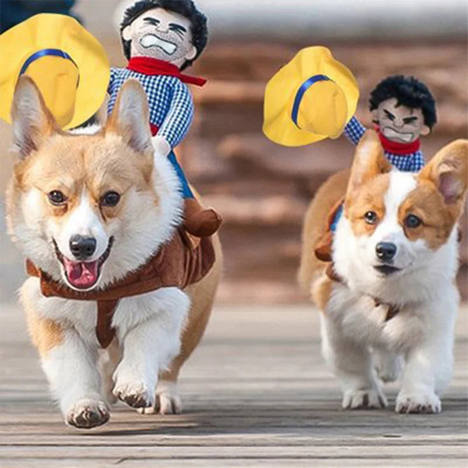 Two corgis in costumes running on a wooden surface with two toy figures in the background.