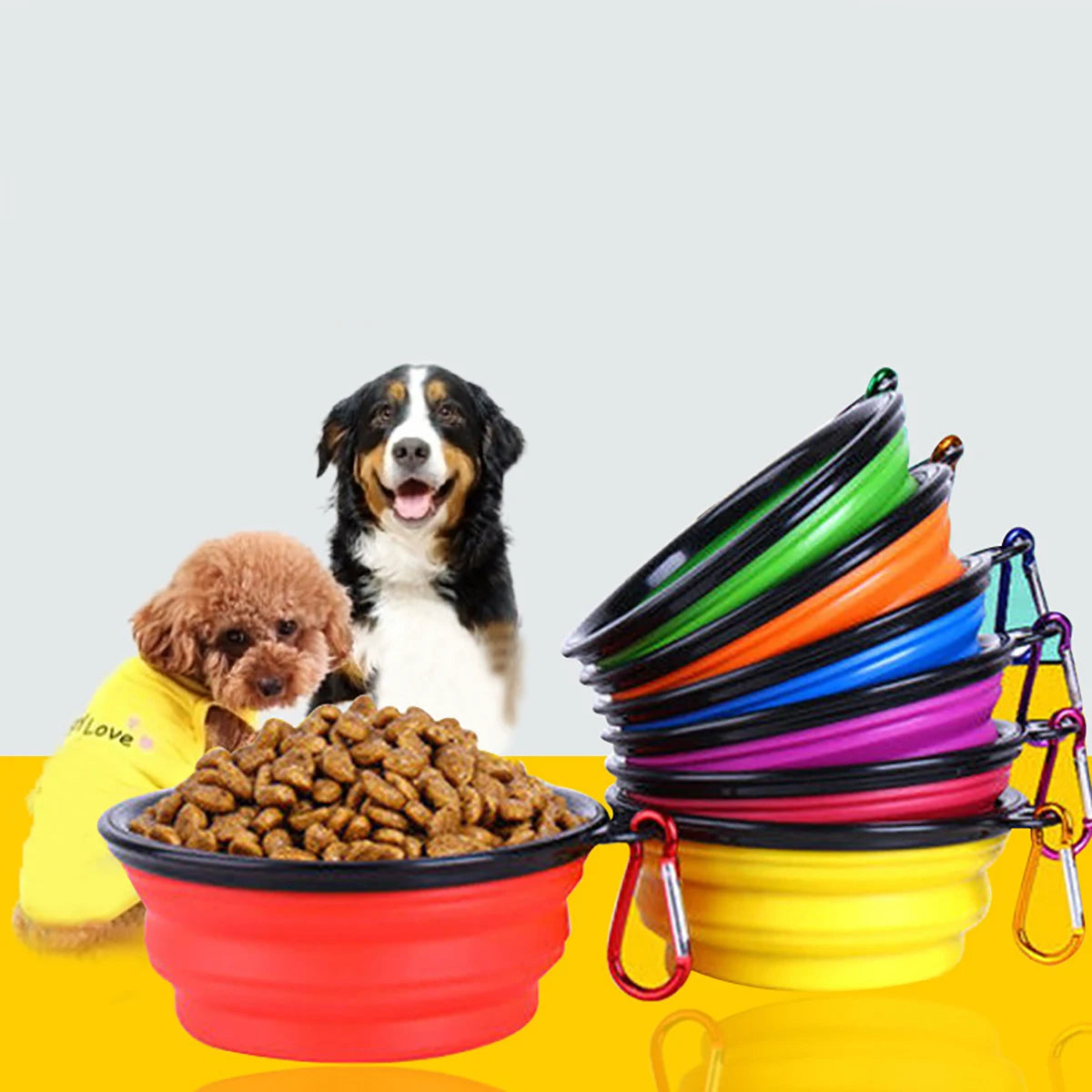 Collapsible silicone dog bowl with food in vibrant colors for small and large dogs