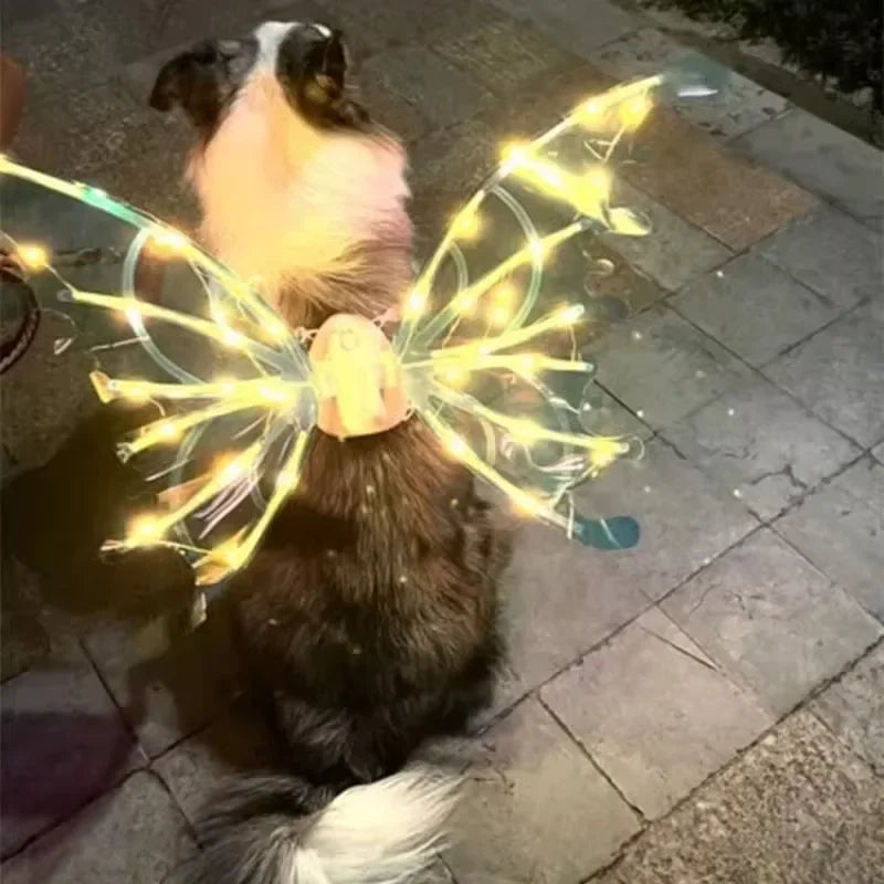 Light-Up Fairy Wings Costume for Dogs - Glowing LED Pet Halloween Accessory