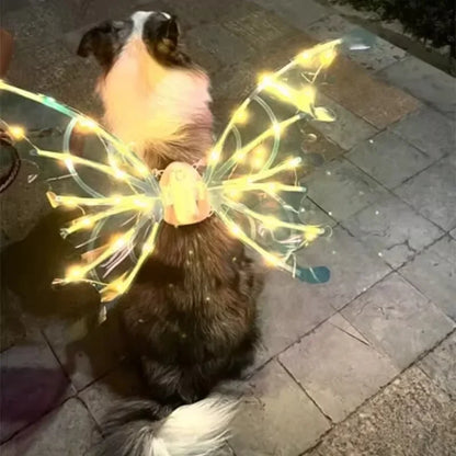 Light-Up Fairy Wings Costume for Dogs - Glowing LED Pet Halloween Accessory