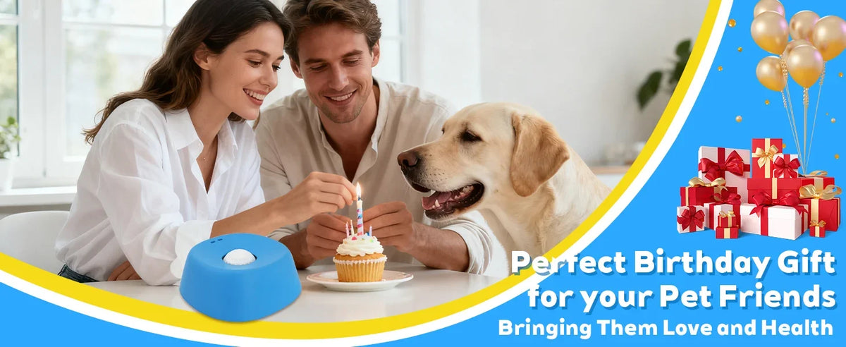 Couple celebrating a birthday with a dog, surrounded by presents and balloons.