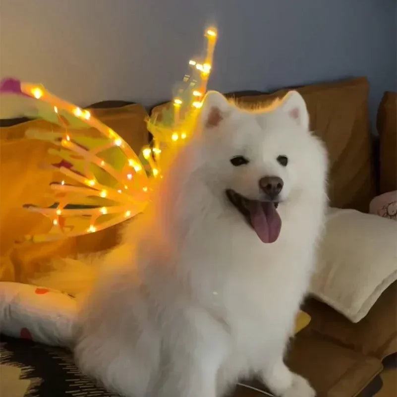 Light-Up Fairy Wings Costume for Dogs - Glowing LED Pet Halloween Accessory