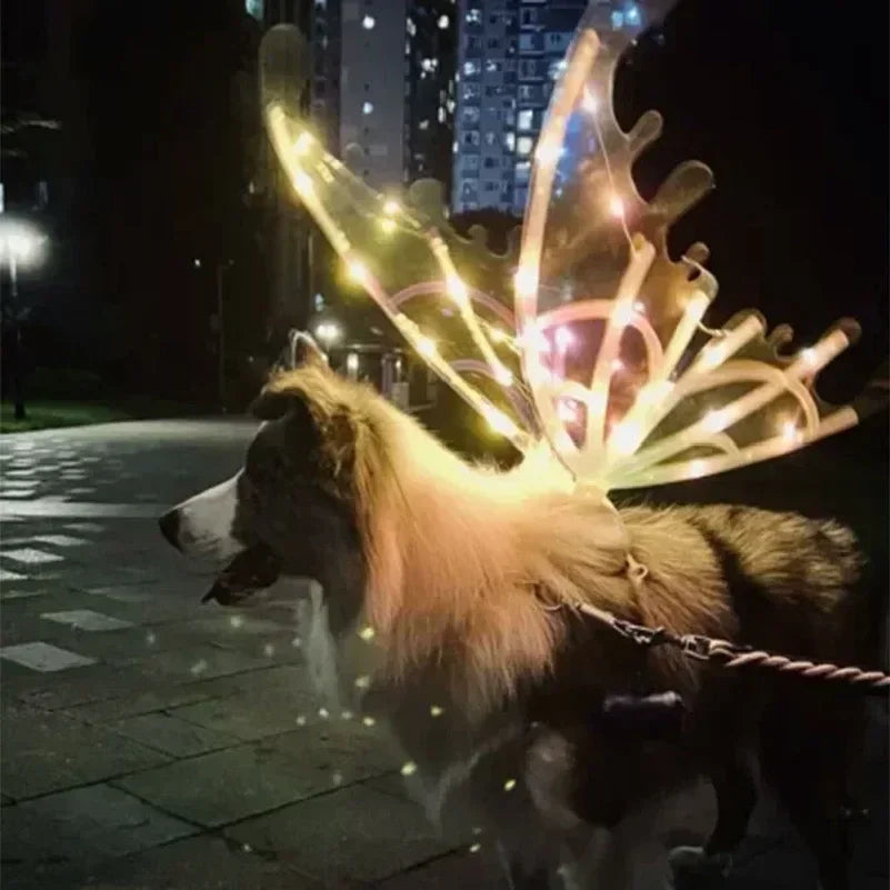 Light-Up Fairy Wings Costume for Dogs - Glowing LED Pet Halloween Accessory