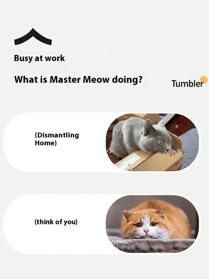 A digital graphic with the text 'Busy at work' and 'What is Master Meow doing?' on a light gray background. It shows two cartoon-style oval panels: the top panel has a gray cat climbing out of a cardboard box with the caption '(Dismantling Home)', and the bottom panel has an orange-and-white cat lying down with the caption '(think of you)'.
