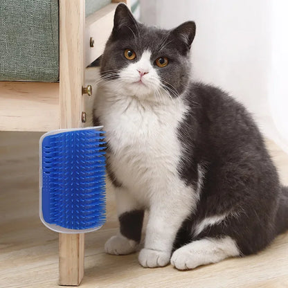Gray and white cat sitting next to a blue pet grooming brush on a wooden surface.