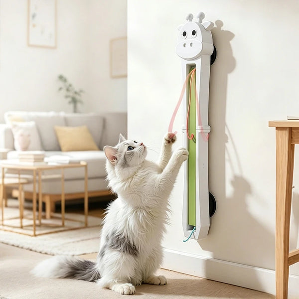 A fluffy white and gray cat stands on its hind legs, reaching toward a wall-mounted giraffe-shaped cat toy with a green and pink ribbon in a bright living room.