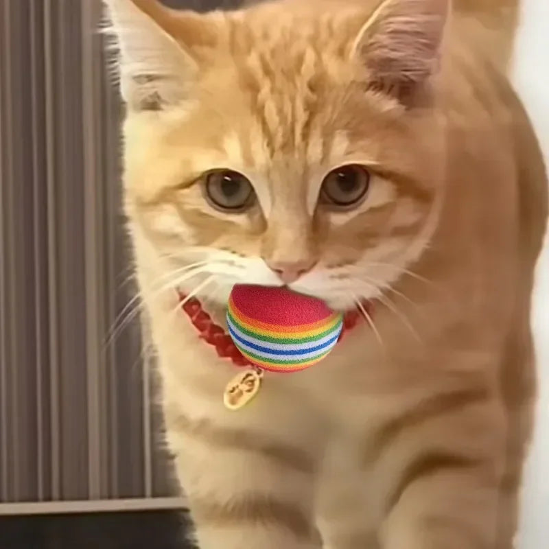 Rainbow EVA Pet Toy Balls – Interactive Bouncy Balls for Cats & Dogs (10-100 Pcs)
