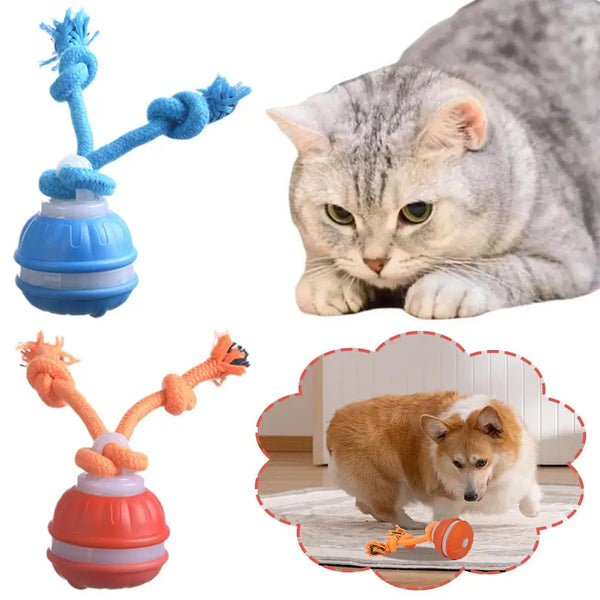 Orange USB rechargeable motion-sensor pet ball toy with rope tail attachment
