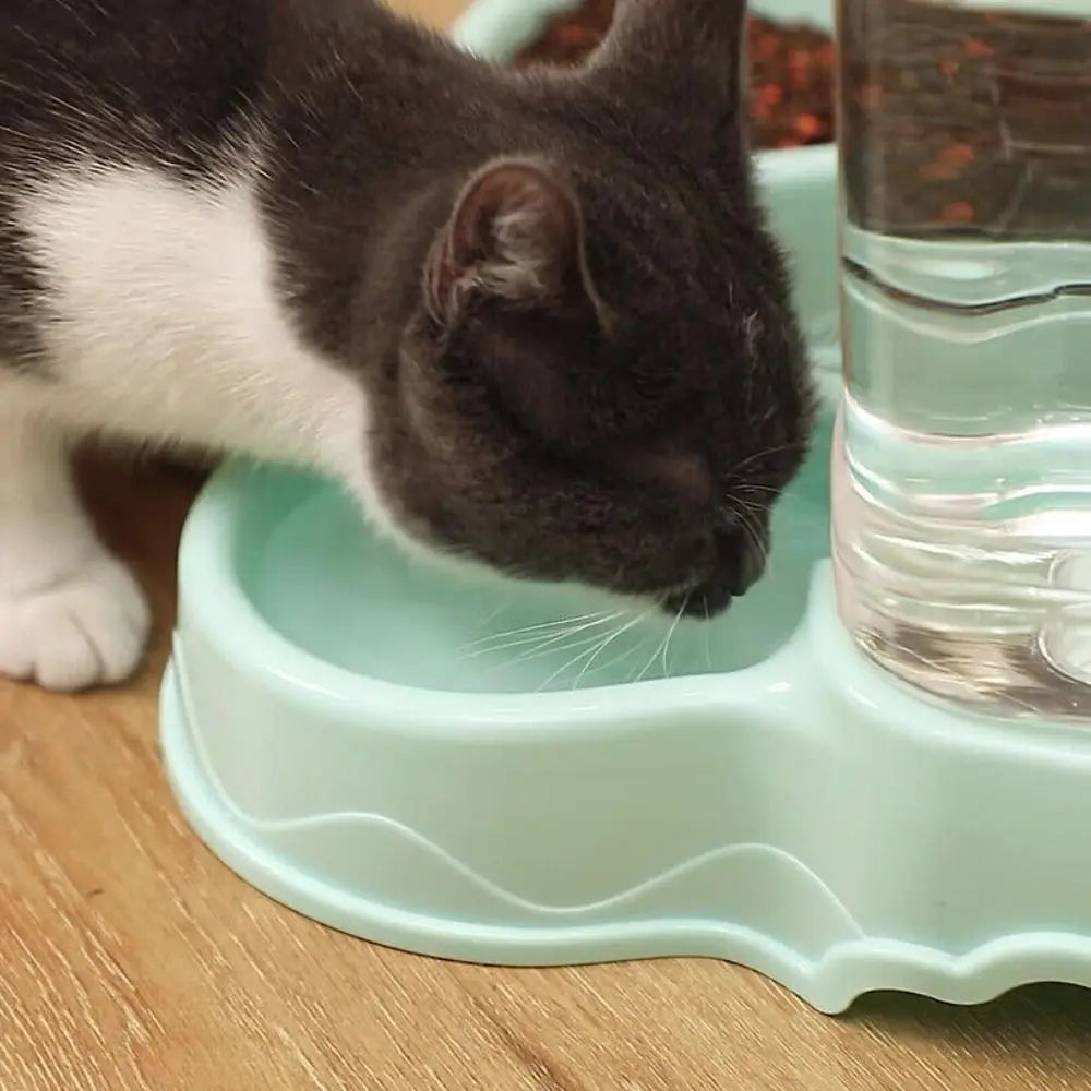 Pet Castle automatic pet feeder with 3.8L food dispenser and cat eating from bowl