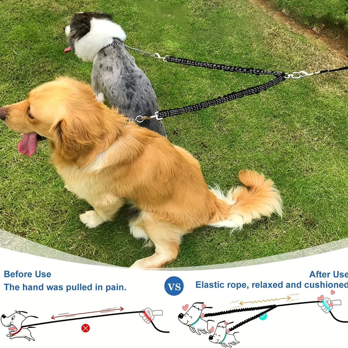 Two dogs on a leash with a comparison of 'Before Use' and 'After Use' text and illustrations.