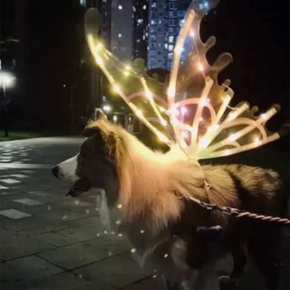 Dog wearing a reindeer antler costume with LED lights at night.