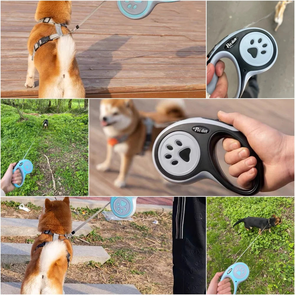 Collage of a dog walking with a retractable leash and handle, showing different angles and uses.