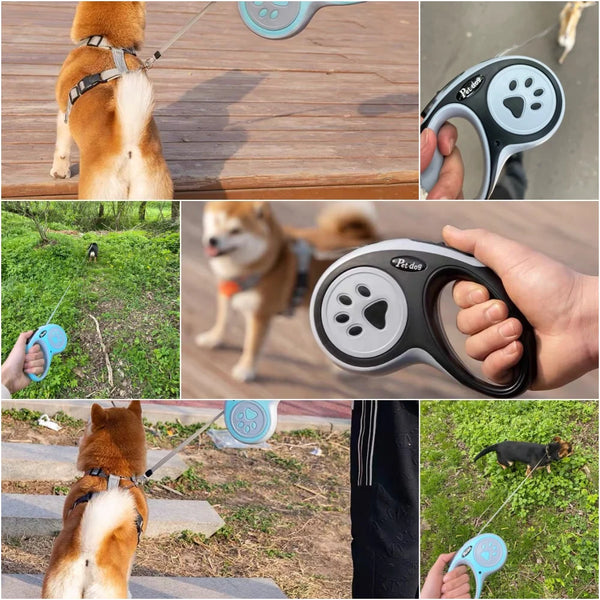 Collage of a dog walking with a retractable leash and handle, showing different angles and uses.