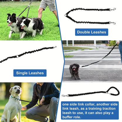 Dog leashes and collars with text labels on a split-screen background.