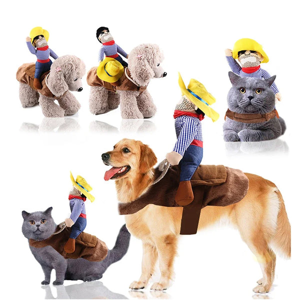 Dog and cat wearing cowboy costumes with a person on horseback, on a white background.