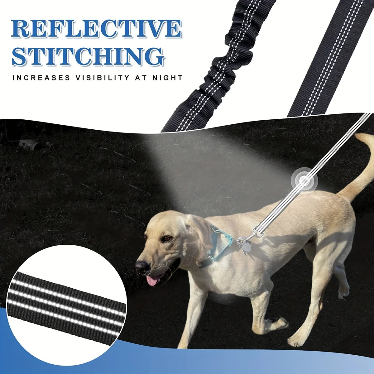 Dog wearing a reflective leash with text highlighting reflective stitching.
