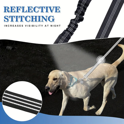 Dog wearing a reflective leash with text highlighting reflective stitching.