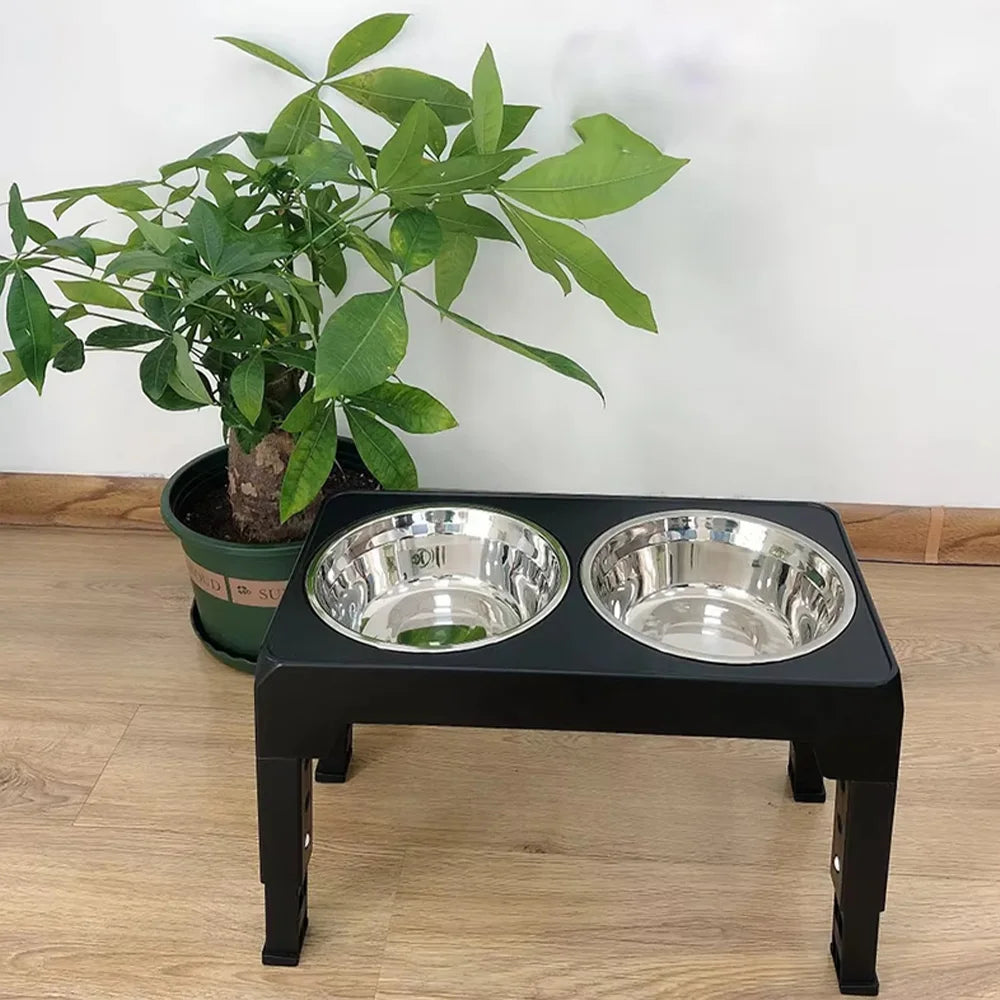 Elevated dog feeder stand with stainless steel bowls styled in modern home decor setting