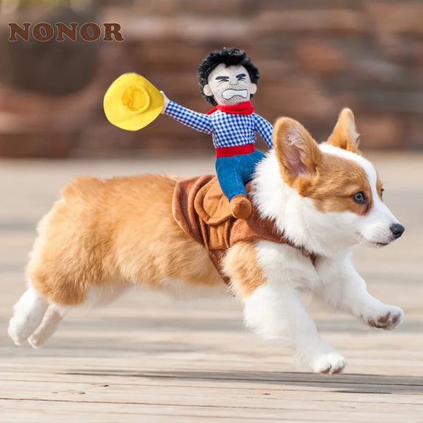 Dog playing with a cowboy plush toy on a wooden floor